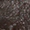 Coronet™ English Leather Spur Straps with Keepers - Image 6