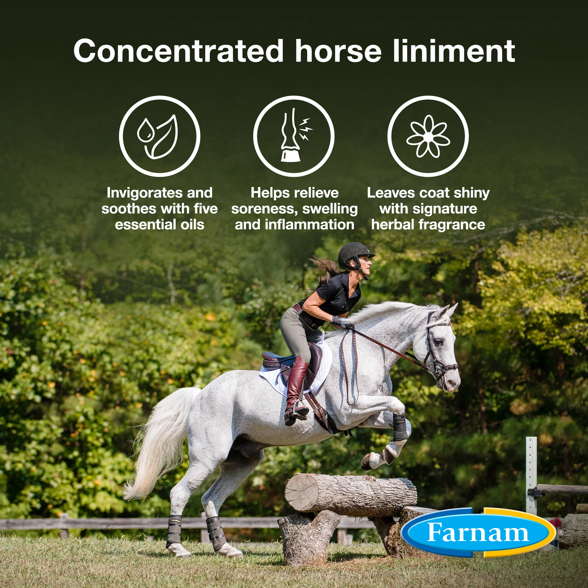 Farnam® Vetrolin® Liniment - Image 4