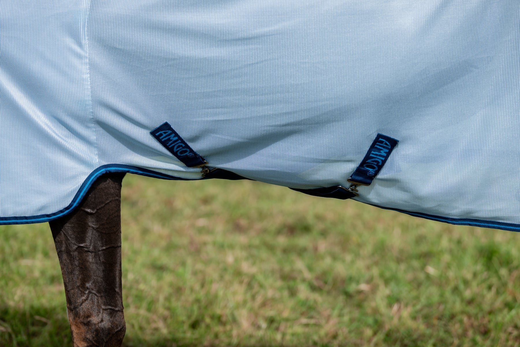 Horseware® Ireland Amigo® Bug Rug Plus Fly Sheet - Image 3