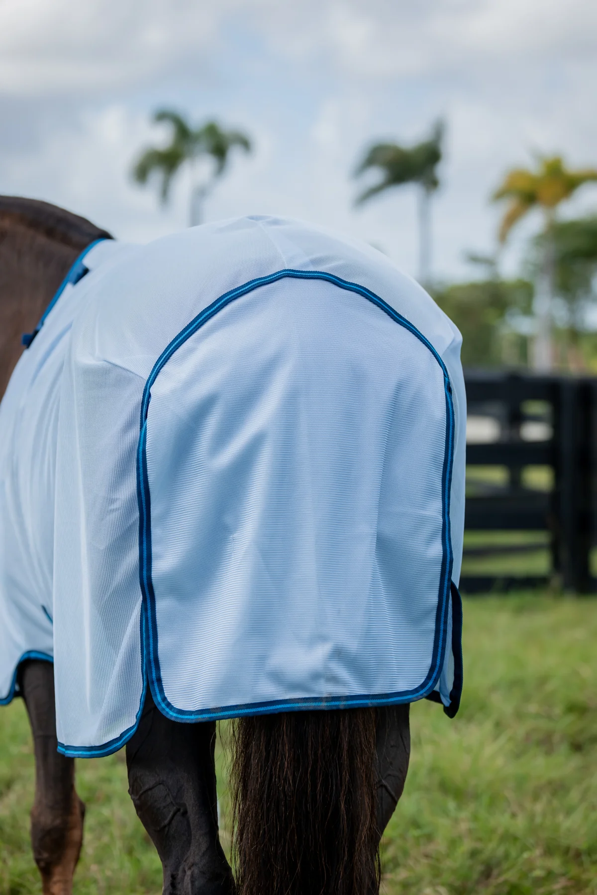 Horseware® Ireland Amigo® Bug Rug Plus Fly Sheet - Image 4
