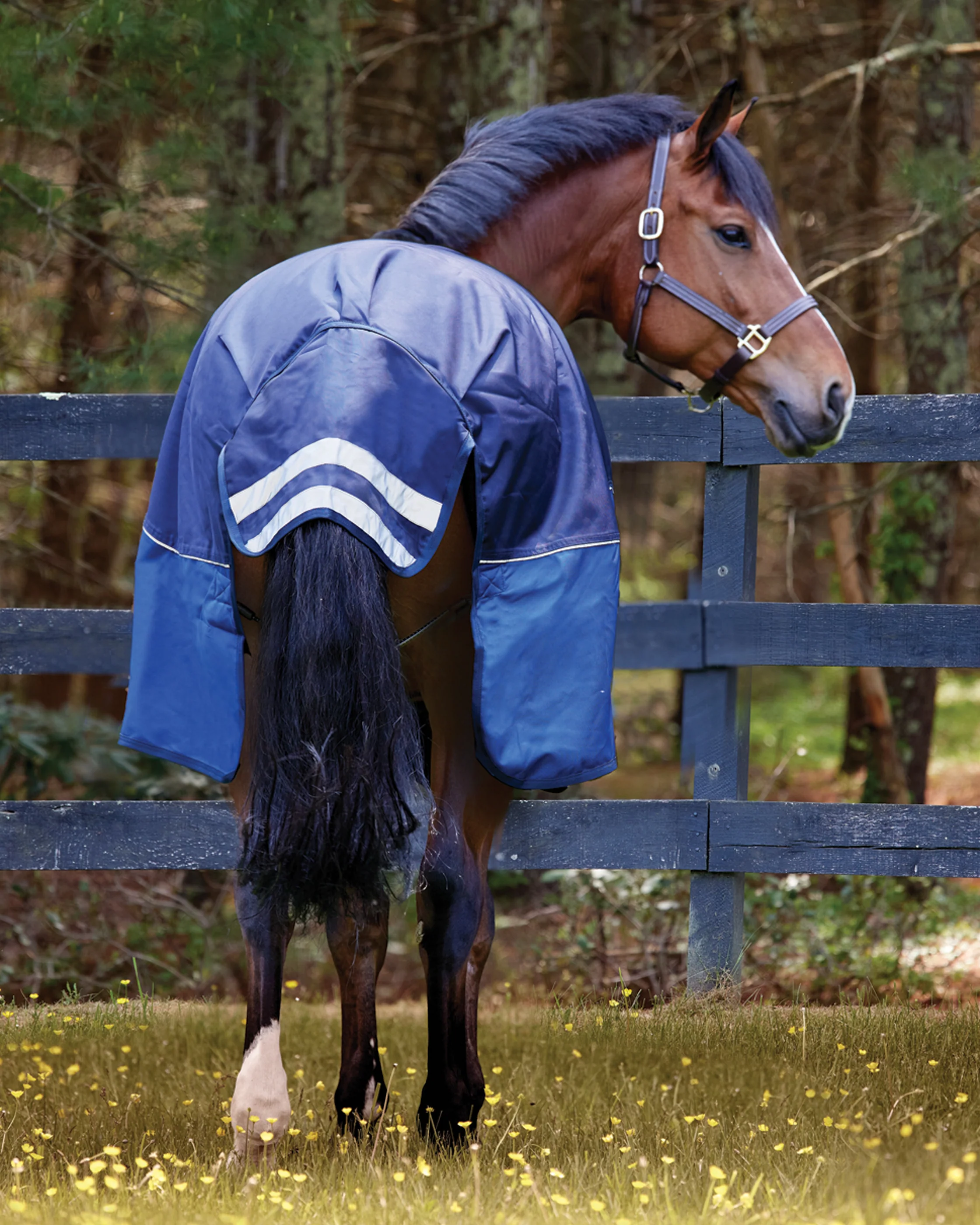 NorthWind™ Heavyweight Turnout Blanket - Image 3