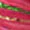 Perri’s® Cotton Lead - Image 11
