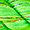 Perri’s® Cotton Lead - Image 17