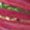 Perri’s® Cotton Lead - Image 29