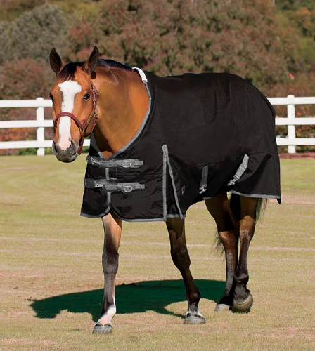 Rider’s International™ Supreme Turnout Sheet - Image 3