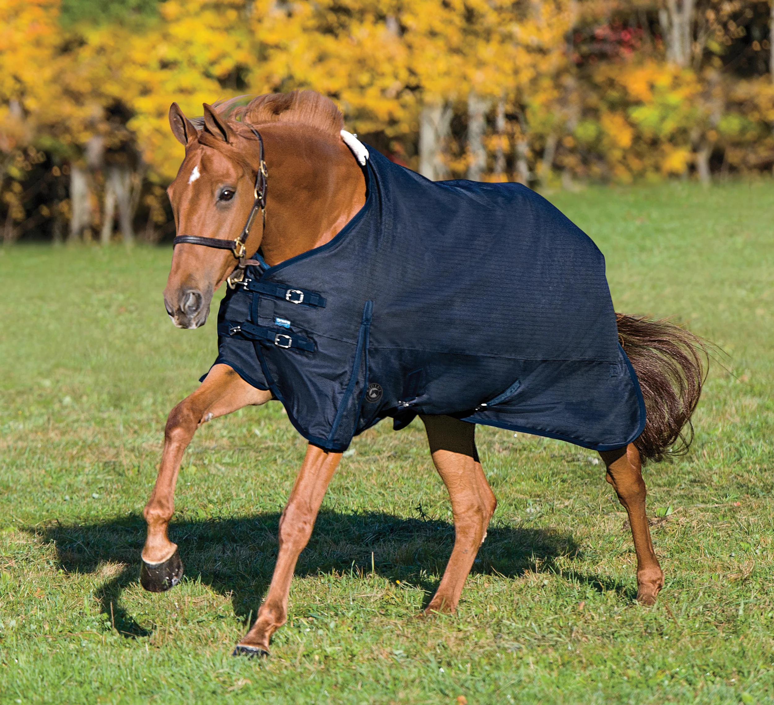 Rider’s International™ Supreme Turnout Sheet - Image 9