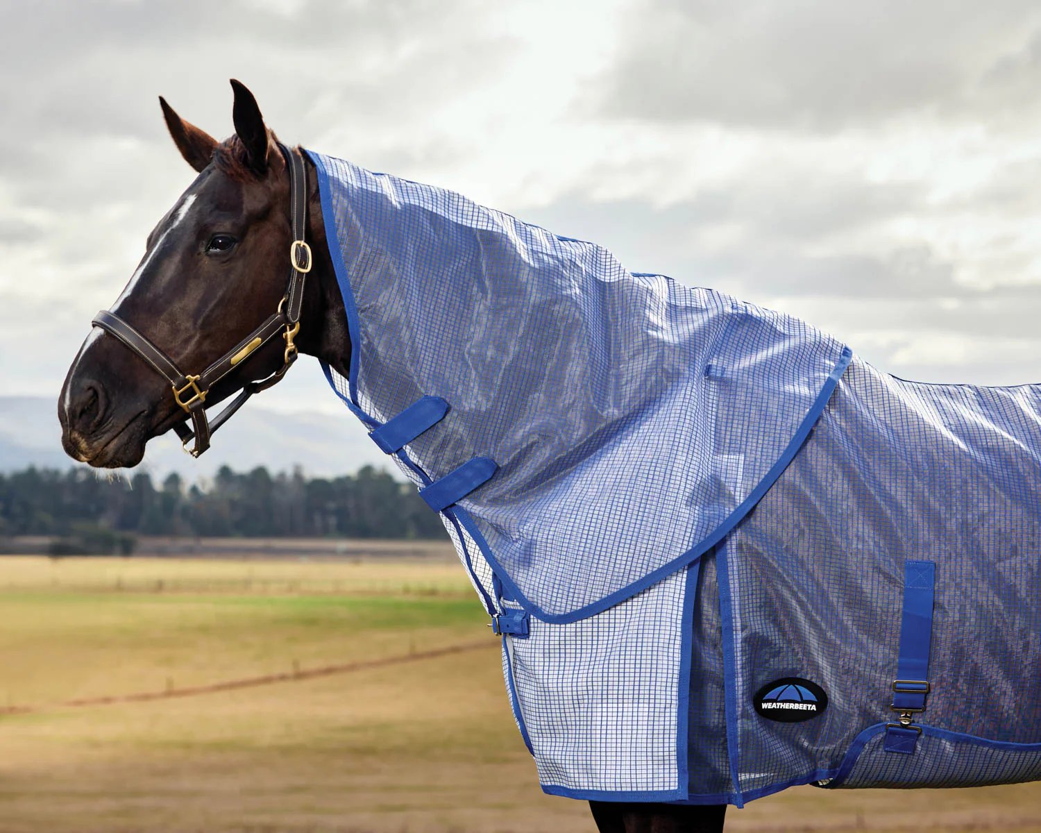 WeatherBeeta® ComFiTec™ Ripshield Detach-A-Neck Fly Sheet - Image 7