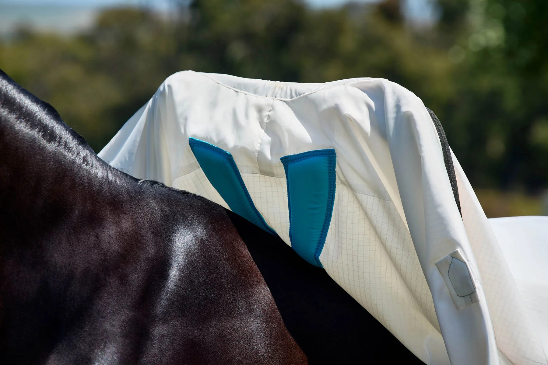 WeatherBeeta™ ComFiTec™ Sweet Itch Shield Fly Sheet Combo - Image 7